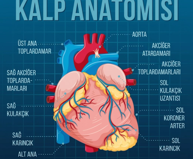 Sigara Bıraktıktan Sonra Kalp Sağlığı Nasıl Düzelir? (5 Adım)
